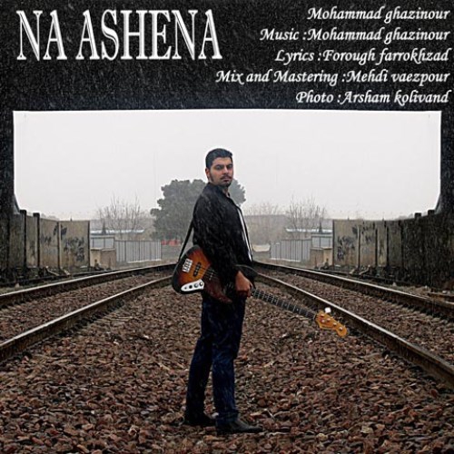 محمد قاضی نور نا آشنا